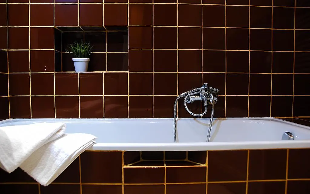 Spacious Apartment In The Heart Of Krakow