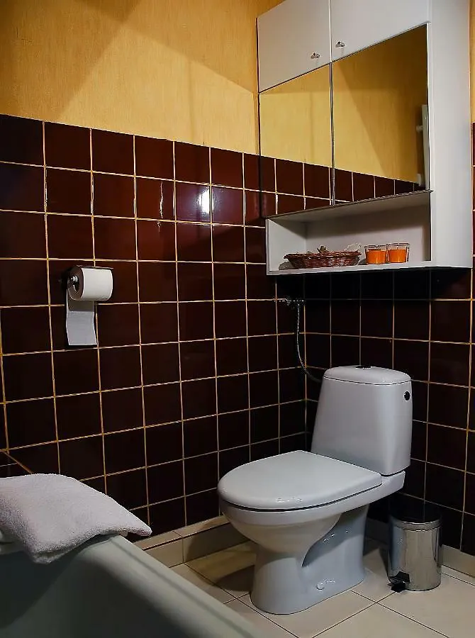 Spacious Apartment In The Heart Of Krakow Poland